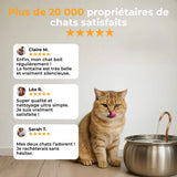 Aktiv'Pet Katzenbrunnen