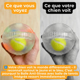 Anti-Stress Ball