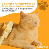 Brosse Attrape’Poils – Unser Bestseller