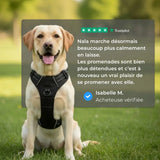 Anti-Ziehgeschirr Activ'Pet