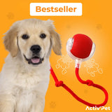 MagicBall Activ’Pet - Unser Bestseller