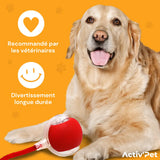 MagicBall Activ’Pet - Unser Bestseller