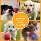 MagicBall Activ’Pet - Unser Bestseller