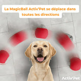 MagicBall Activ’Pet - Unser Bestseller