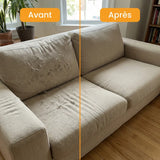 Gant Attrape'Poils