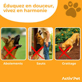 Ultraschallgerät Hund Serein Activ'Pet