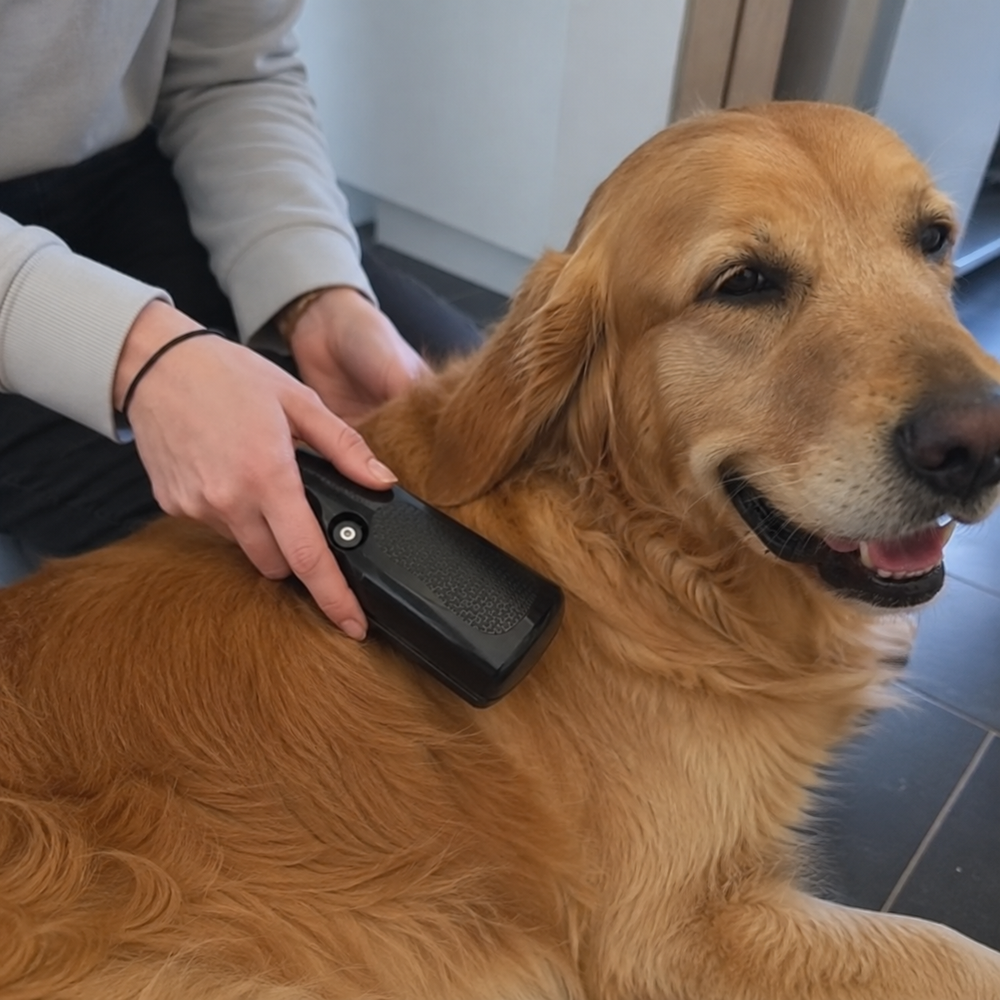<p>Über 50.000 Kunden, die von AKTIV PET überzeugt wurden</p>