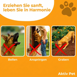Ultraschallgerät Hund Serein Aktiv Pet