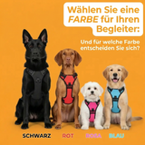 Anti-Ziehgeschirr Aktiv Pet