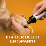 Leise Pro-Schleifmaschine