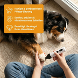 Leise Pro-Schleifmaschine