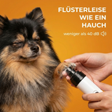 Leise Pro-Schleifmaschine