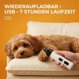 Leise Pro-Schleifmaschine