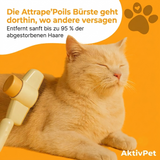 Haarentfernungsbürste – Unser Bestseller