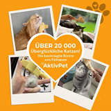 Haarentfernungsbürste – Unser Bestseller