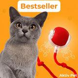 PowerBall Aktiv Pet