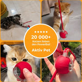 PowerBall Aktiv Pet