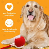 MagicBall Aktiv Pet - Unser Bestseller