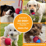 MagicBall Aktiv Pet - Unser Bestseller