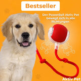 MagicBall Aktiv Pet - Unser Bestseller