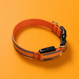Leuchtendes Collier Activ'Pet