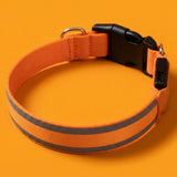 Leuchtendes Collier Activ'Pet