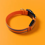 Leuchtendes Collier Activ'Pet