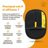 Gant Attrape'Poils