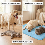 Tapis Pattes'Fraîches